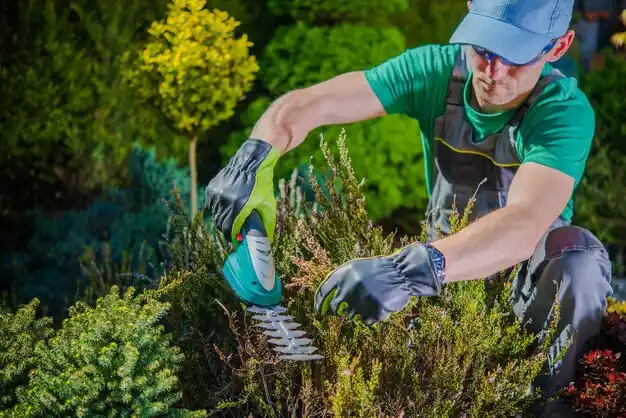 landscaping services Constantine